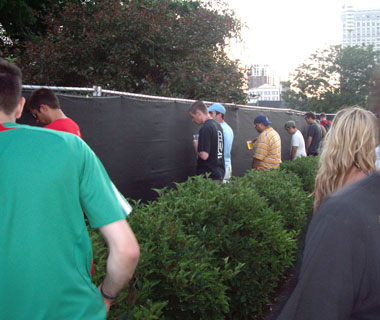 Illustration for article titled Lollapalooza 2008: The view from the ground